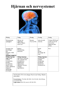 Hjärnan och nervsystemet