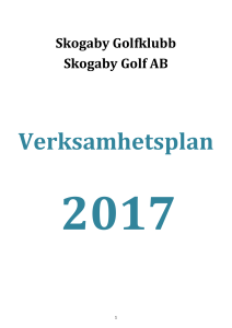 Verksamhetsplan 2017