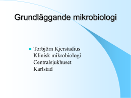 Haka upp bränslemätaren image 9