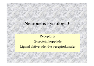 Neuronens Fysiologi 3