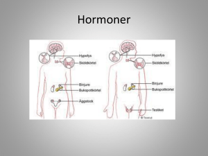 Hormoner - WordPress.com