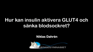 Hur kan insulin aktivera GLUT4 och sänka