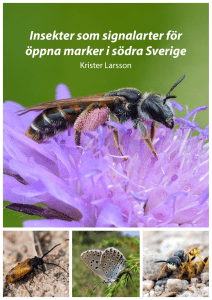 Insekter som signalarter för öppna marker i södra Sverige