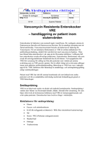 Vancomycin Resistenta Enterokocker VRE