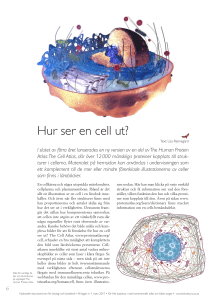 Hur ser en cell ut? - Nationellt resurscentrum för biologi och bioteknik