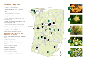 Karta över trädgården - Botaniska trädgården