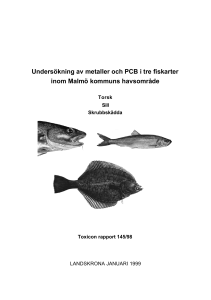 Undersökning av metaller och PCB i tre fiskarter inom Malmö
