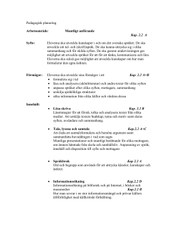 mall för rapport