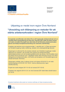 Utlysning av medel inom region Övre Norrland ”Utveckling och