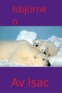 Isbjörne n - edbosfyror