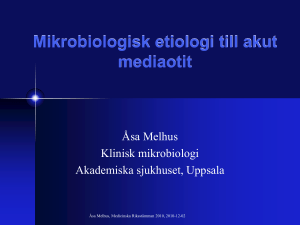Mikrobiologisk etiologi till akut mediaotit