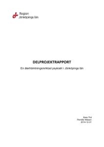 delprojektrapport - Region Plus