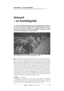 Amarant – en framtidsgröda