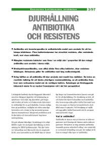 djurhållning antibiotika och resistens