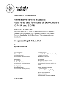 From membrane to nucleus: New roles and