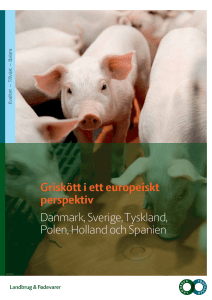 Griskött i ett europeiskt perspektiv Danmark, Sverige, Tyskland