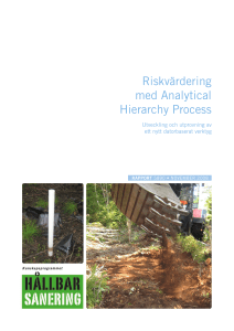 Riskvärdering med Analytical Hierarchy Process