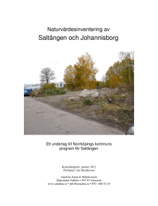 Saltängen och Johannisborg - Next:Norrköping