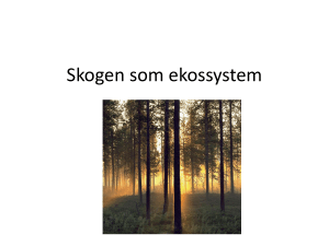Skogen som ekossystem