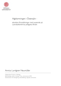 Algblomningen i Östersjön - Annica Lundgren Neumüller