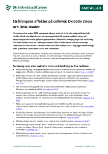 Oxidativ stress och DNA-skador