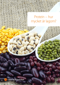 Protein – hur mycket är lagom?