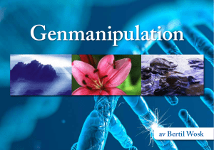 Genmanipulation