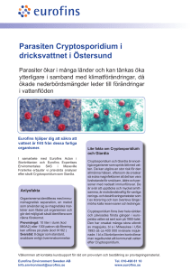 Parasiten Cryptosporidium i dricksvattnet i Östersund