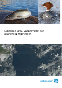 Rapport Limmaren - Norrtälje kommun