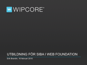 Web Foundation presentation