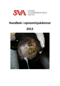 Handbok i epizootisjukdomar 2012