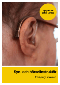 Syn- och hörselinstruktör