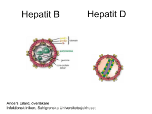 Hepatit B Hepatit D