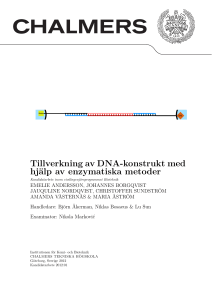 Tillverkning av DNA-konstrukt med hjälp av enzymatiska metoder