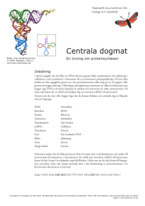 Centrala dogmat - Nationellt resurscentrum för biologi och bioteknik