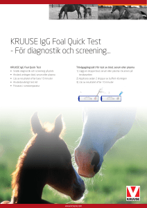 KRUUSE IgG Foal Quick Test - För diagnostik och screening