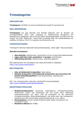 dosering kåvepenin vuxna dosering kåvepenin vuxna