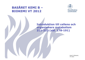 BASÅRET KEMI B – BIOKEMI VT 2012