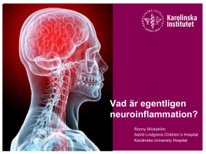 Vad är egentligen neuroinflammation?