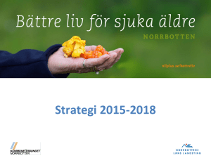 Bättre liv för sjuka äldre - strategi 2015-2018