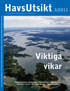 Krönika: Finlands miljöminister • Färre rovfiskar