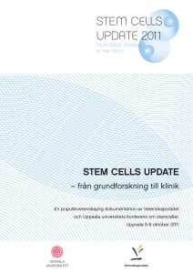 Stem Cells Update Dokumentation.indd