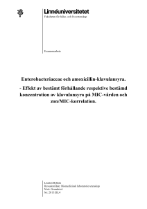 Enterobacteriaceae och amoxicillin-klavulansyra.