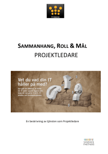 projektledare - Sandahl Partners