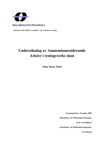 Undersökning av Ammoniumoxiderande Arkéer i