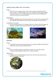 Aquarias marina miljöer: Hav och korallrev Etologi • Fiskar kan leva