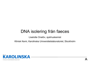 DNA isolering från faeces