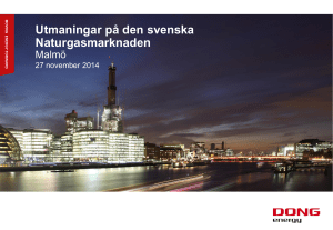 Utmaningar på den svenska Naturgasmarknaden