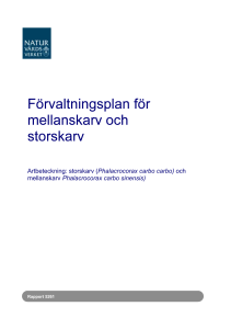Förvaltningsplan för mellanskarv och storskarv ISBN 91-620-5261-6