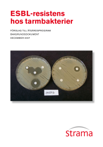 ESBL-resistens hos tarmbakterier